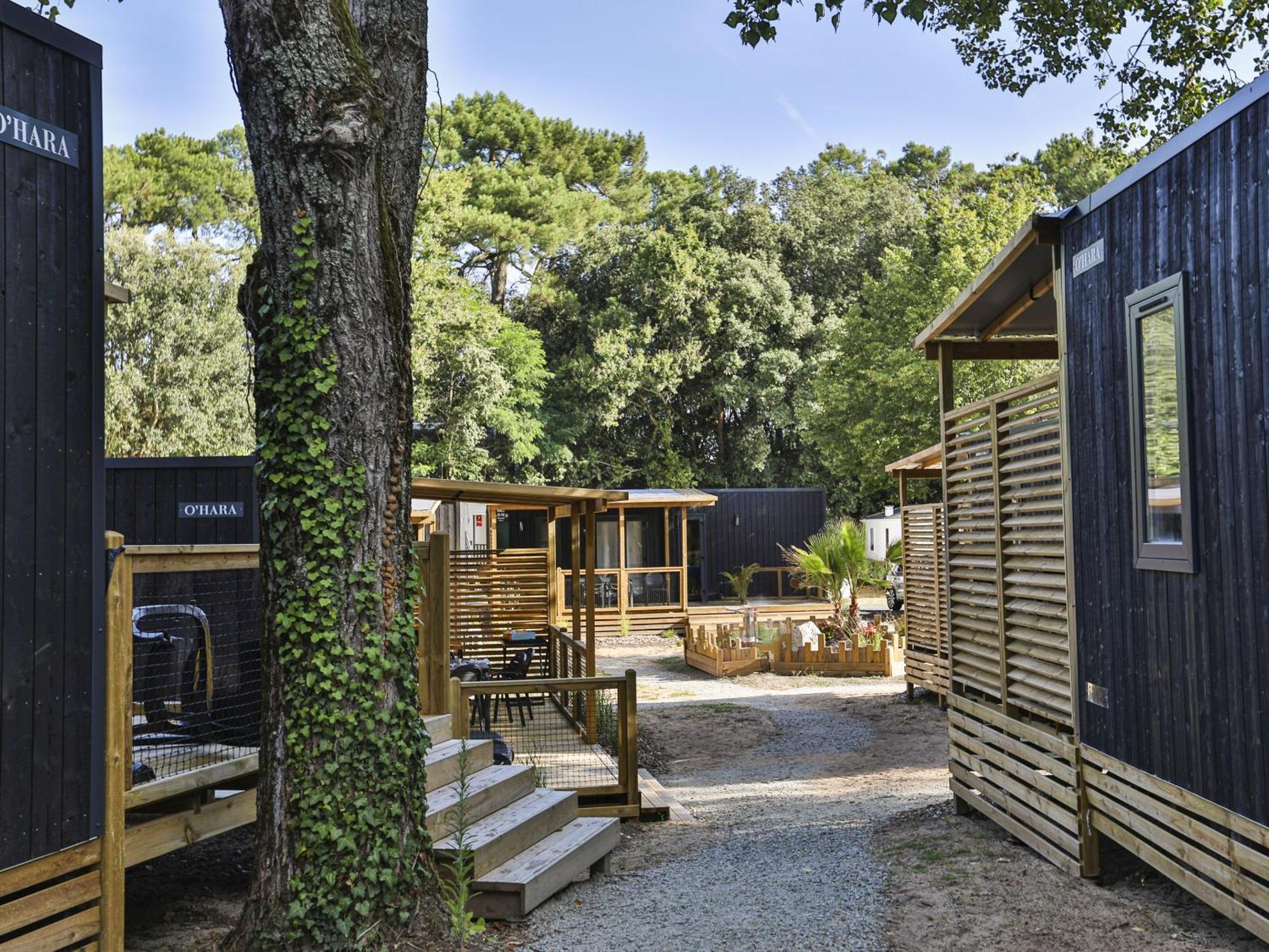 Domaine Residentiel De Plein Air Les Dunes Longeville-sur-Mer Kültér fotó