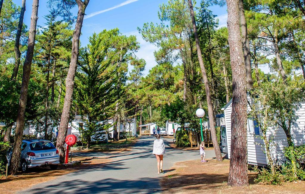 Domaine Residentiel De Plein Air Odalys Les Dunes Longeville-sur-Mer Kültér fotó